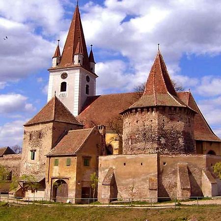 Апартаменты Casa Zollo Сэлиште Экстерьер фото